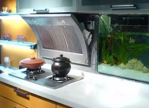 你家厨房这样装修,能用50年呢 超实用