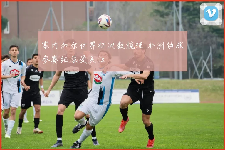塞内加尔世界杯次数梳理 非洲劲旅参赛纪录受关注